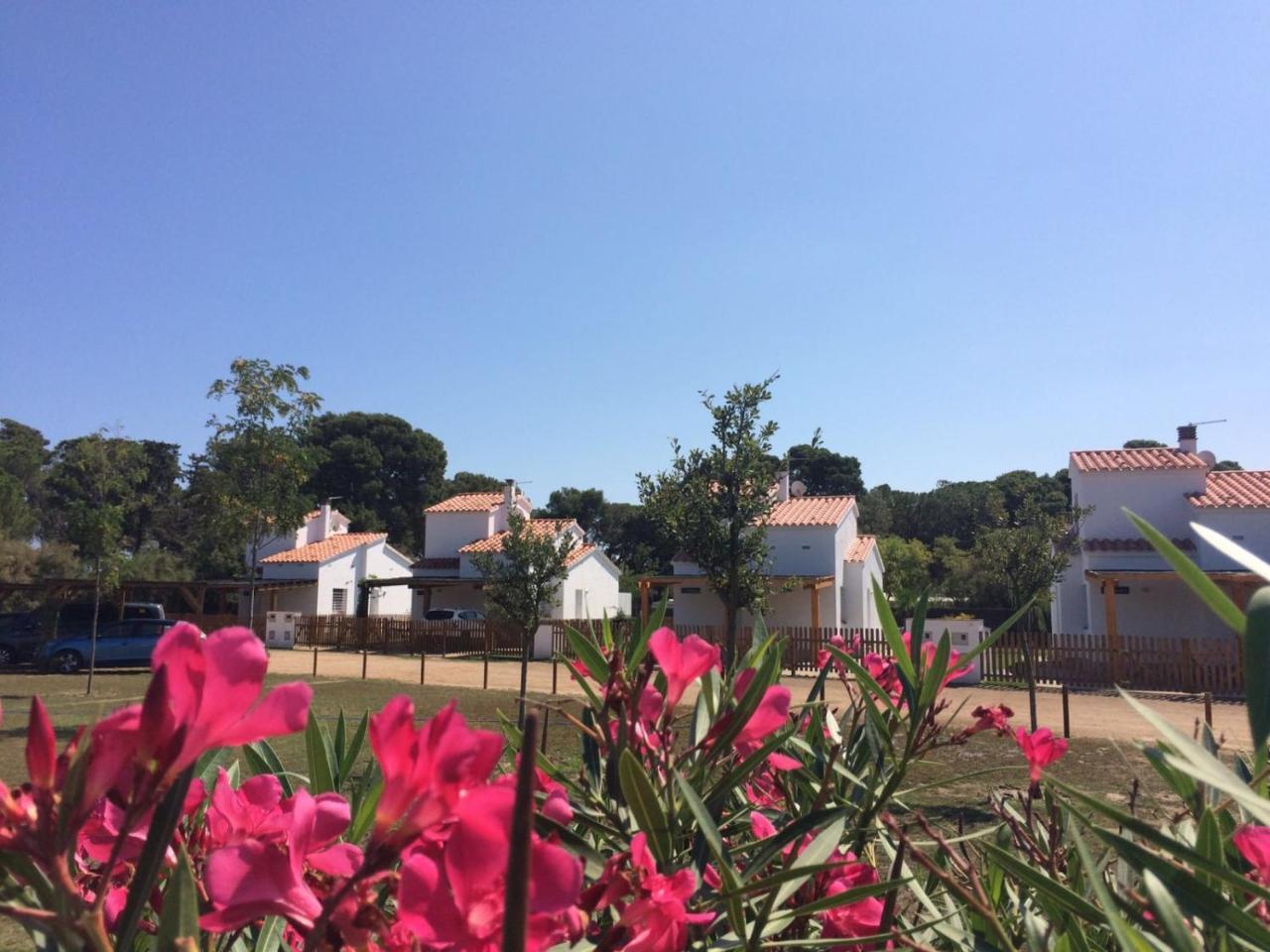 Villas Empuries, Garden & Private Pool Sant Marti d'Empuries Exteriör bild